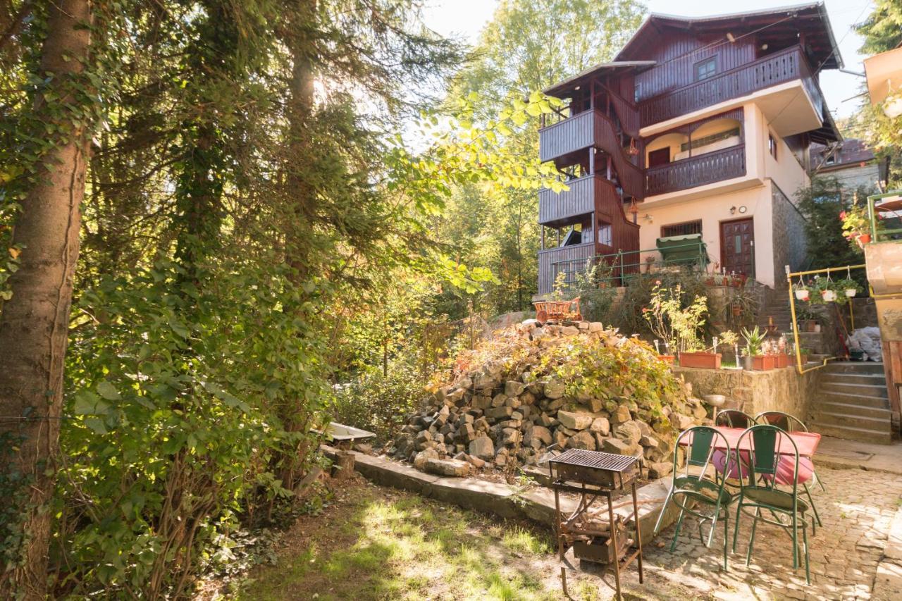 Апартаменты Rustic Regal Синая Экстерьер фото